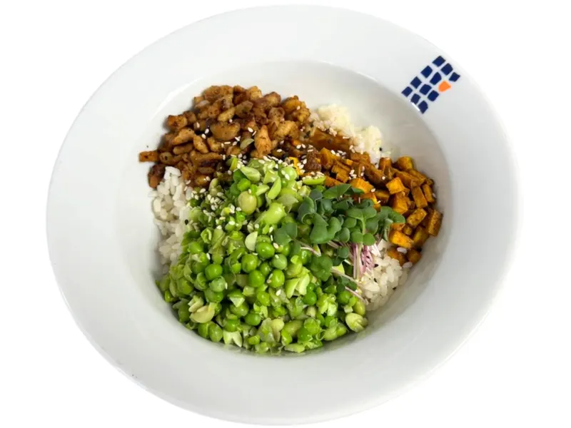 Reisschale Soboro-Donburi